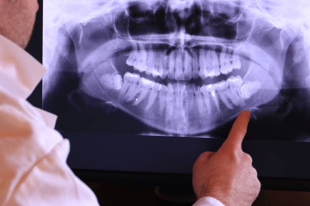 Best Emergency X-Rays and Diagnostics in Dewitt, IA